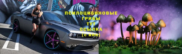 стафф Сосновоборск