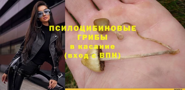 бутират Сосновка