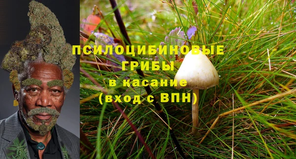 стафф Сосновоборск
