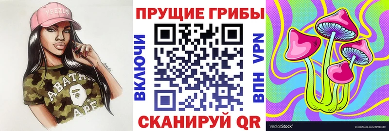Галлюциногенные грибы Magic Shrooms  купить наркотики цена  Анадырь 